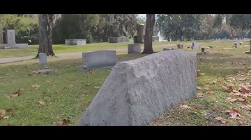 Whispers In The Wind