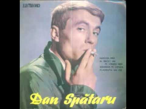Dan Spătaru Lyrics, Songs, and Albums Genius