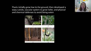 Plant Diversity Part 1