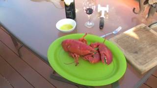 Reluctant Lobster