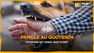 Quel antibiotique pour une morsure de chien ?