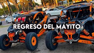 Regreso Del Mayito - Panter Belico, Los Del Sombrero (Corridos 2024)