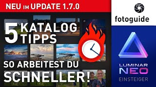 Luminar NEO ▲ NEU im UPDATE 1.7.0 ▲ 5 Katalog TIPPS So arbeitest du SCHNELLER!
