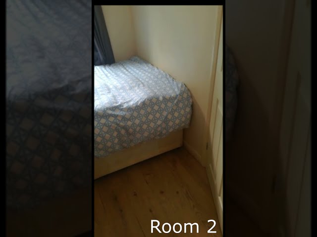 Video 1: