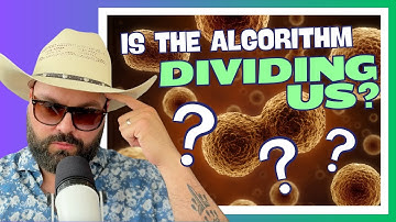 Is the algorithm dividing us on social media?