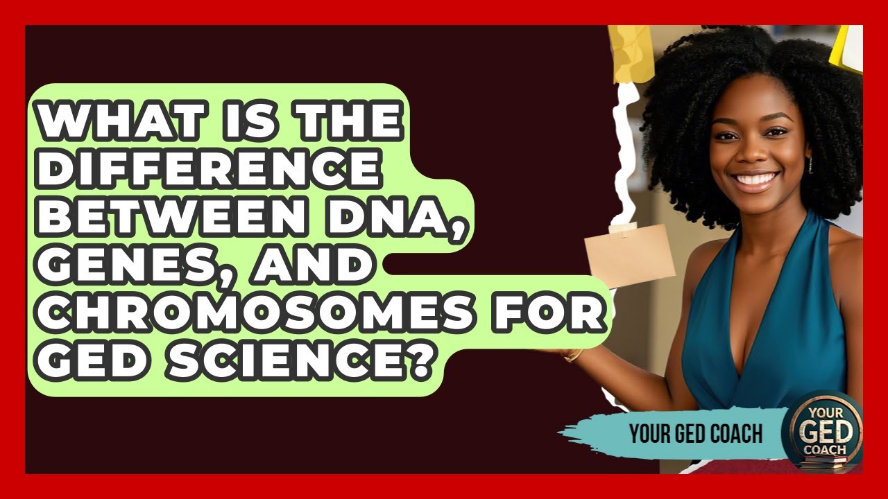 What Is The Difference Between DNA, Genes, And Chromosomes For GED ...