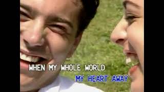 01 You Took My Heart Away - Michael Learns To Rock (karaoke w/ vocals)