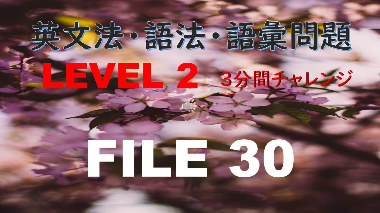2-30-english-grammar-vocabulary-exercise-level-2-30