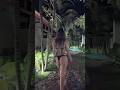 Luxury Stay at ZENARA Lombok, Kuta #shorts #bikini #beach #八木あき