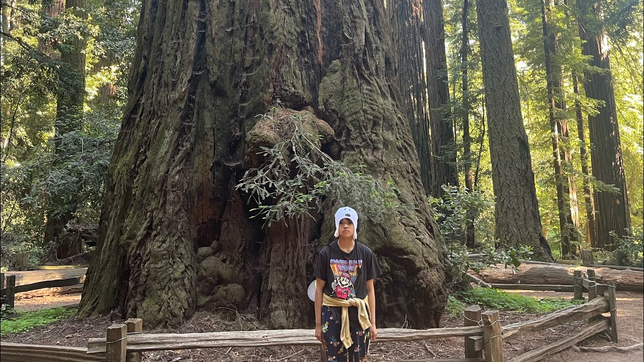 Dining with Fam, Drive tour in downtown santa cruz, Check tire thread penny/quarter technique.