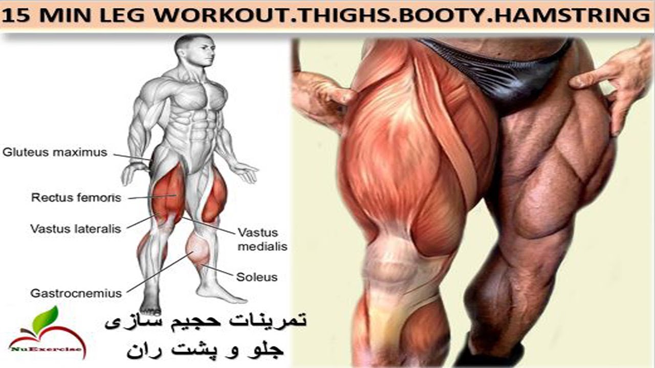 the perfect leg workout