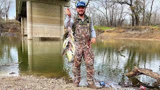Crappie Fishing From The Bank {Catch Clean Cook} They Were STACKED