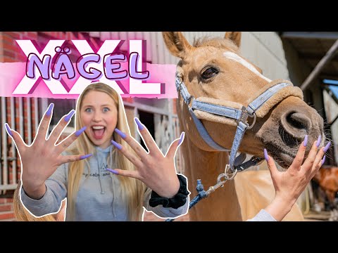 XXL FAKE NÄGEL Im Stall 