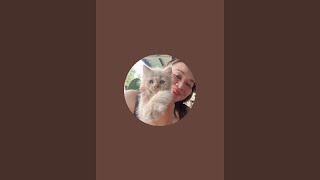 Alyssa fajardo mix blog  is live!