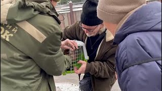 Спасение замерзающего огаря с Тропаревского пруда. Защита и спасение животных.
