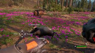 Far Cry New Dawn Boar Vs Horatio