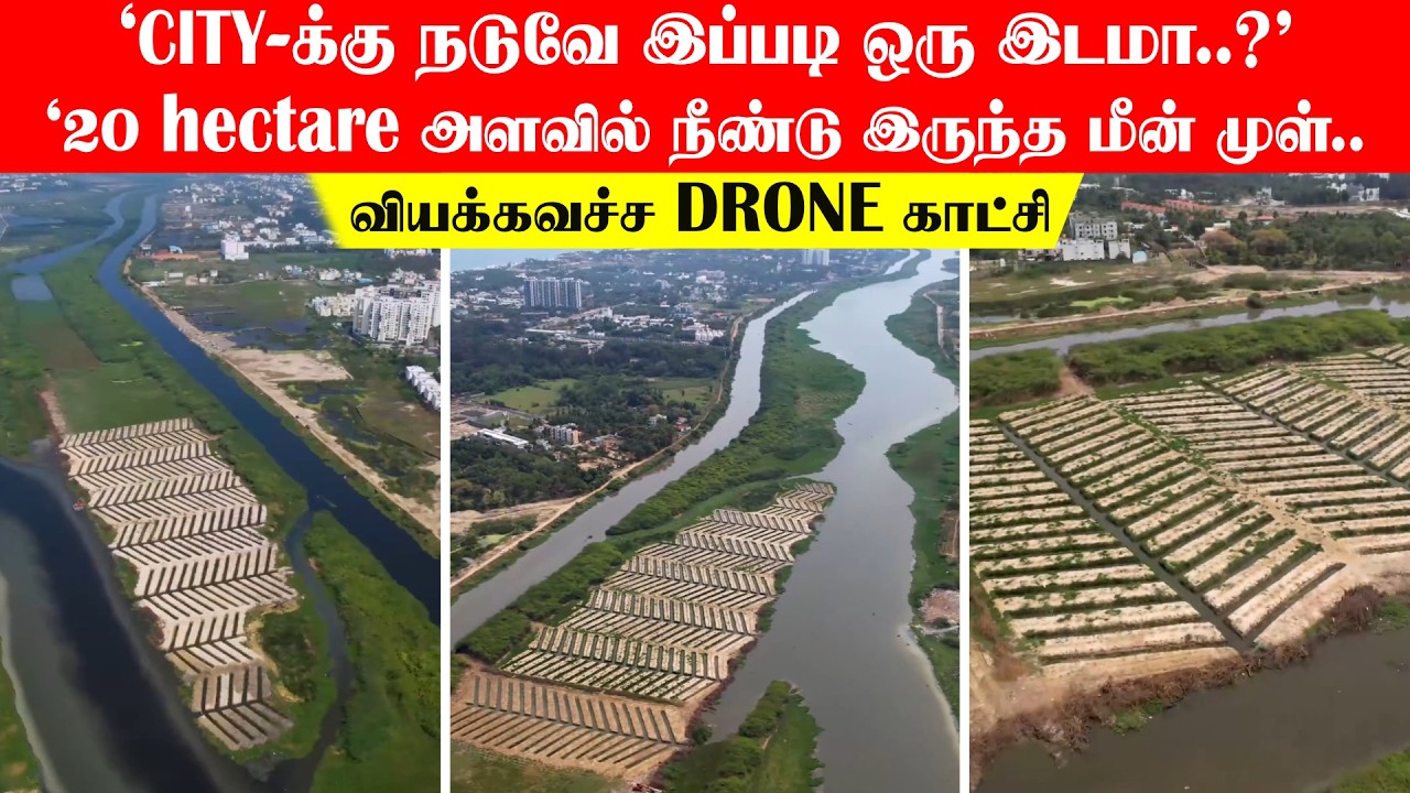 'CITY-க்கு நடுவே இப்படி ஒரு இடமா..?' 20 ஹெக்ட்டர் அளவில் நீண்டு இருந்த மீன் முள்..வியக்கவச்ச காட்சி