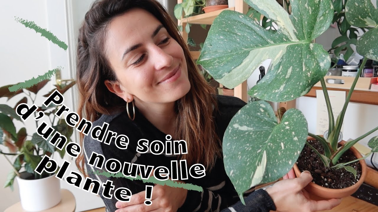 Nouvelle plante : mes astuces pour en prendre soin !