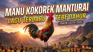 Manu KOKOREK manturai -lagu tebe dahur Timor leste 2026-(official MV)