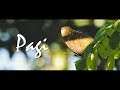 P A G I | CINEMATIC VIDEO