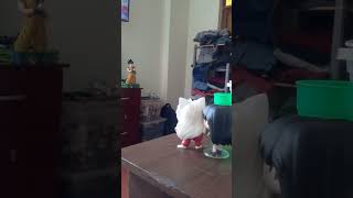 animyth: Inuyasha vs Menomaru Demonio Gigante Inuyasha Sentimientos que perduran a traves del tiempo