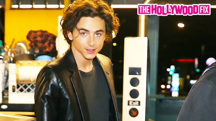 Timothée Chalamet slams into, breaks camera on streets of NYC