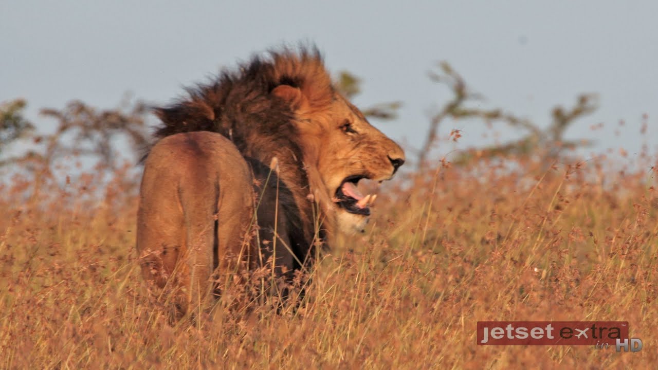 Jetset Extra's Trip to Kenya