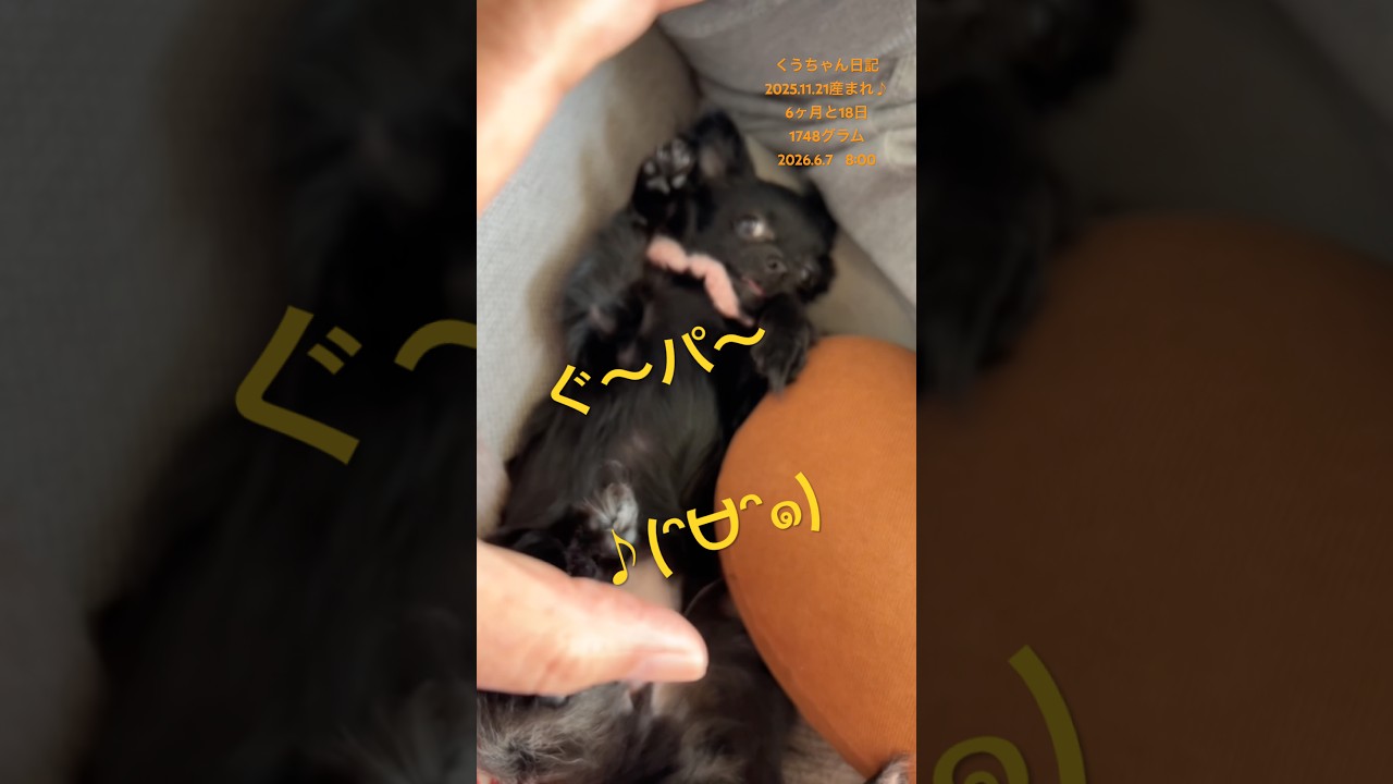 Rock-paper-scissors♪(ᵔᗨᵔ๑) - YouTube