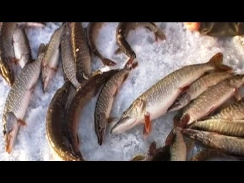 Видео Как с помощью макияжа похудеть лицо
