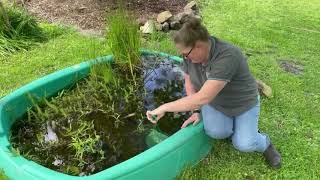 CELEBRATING NATIONAL WATER WEEK WITH JESS
