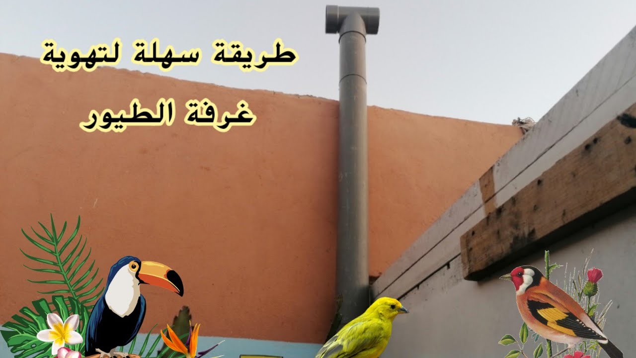 استخراج الهواء من غرفة الطيور ( extracteur d'air)