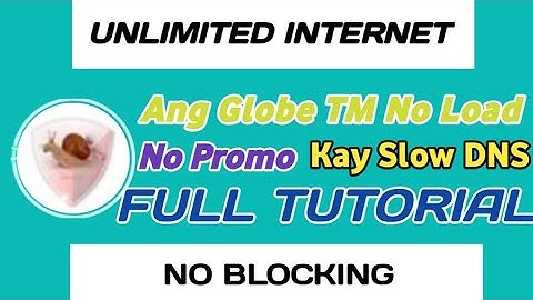 Slow DNS Setup GTM NO LOAD