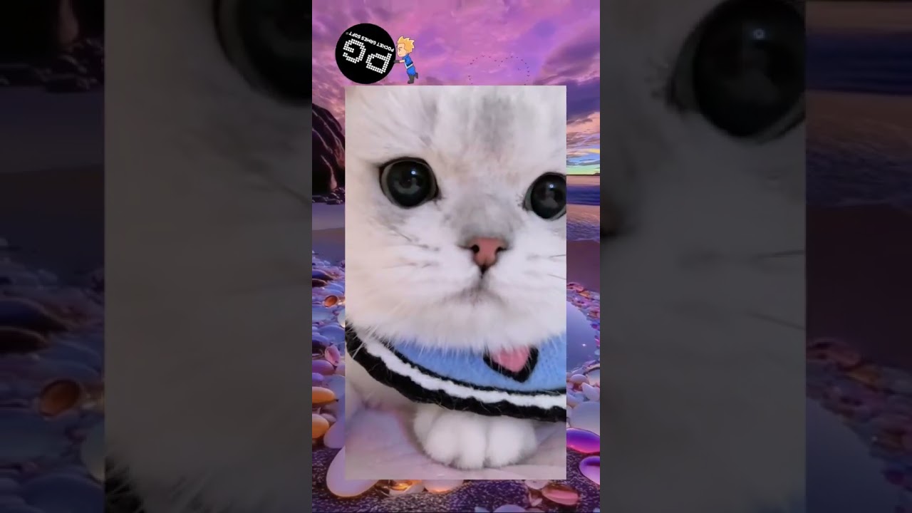 bị rắn cắn đánh số mấy 🐱🐱 Conmèo Dễthương Thúcưng Phổbiến Xuhướng PG pgsoft ViệtNam Việtnamvideo fyp