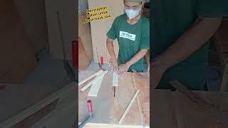 Proses belah Plywood 12 mm #woodworking #project #diy #tracksaw #furniture