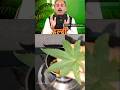 SECRET MAGICAL OIL FOR KNEE PAIN AND BODY ACHE | Cook with Archana#AcharyaManish #kneepain #bodyache