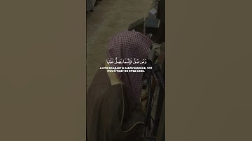 #القرآن_الكريم #تلاوة_خاشعة #قران_كريم #تلاوة_خاشعة #تلاوات #محمد_اللحيدان