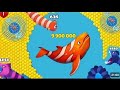 Fishdom 🐠Video [1.2] Hungry Fishs Gameplay | Ads Mini Games New Update 2025