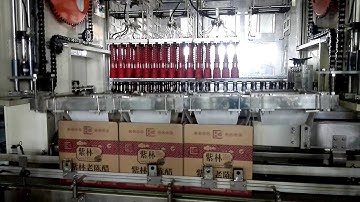 Automatic Pick and Place Case Packer for Glass Bottle