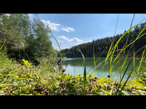 Охота на карпа.