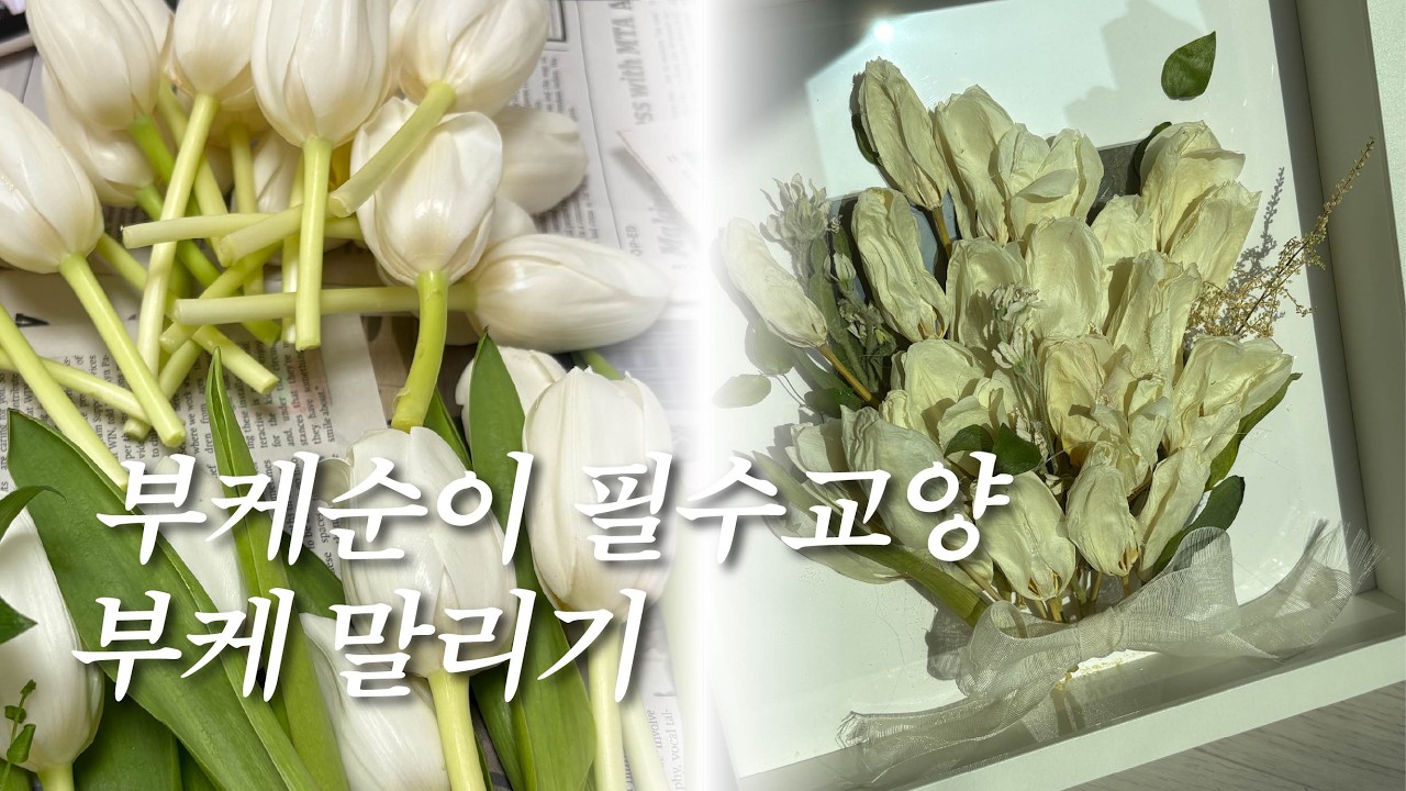 💐부케순이 필수 교양 셀프로 부케 말려서 돌려주기 #부케순이 #부케말리기