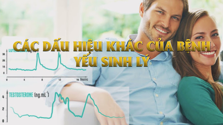 Hướng dẫn sử dụng hải cẩu gold năm 2024