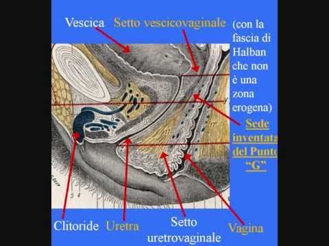 Educazione sessuale Arte di fare l'amore