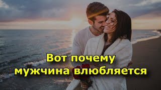 видео: Вот почему мужчина влюбляется картинка: Вот почему мужчина влюбляется