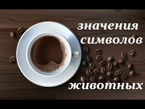 Гадание на кофейной гуще. Значение символов животных.