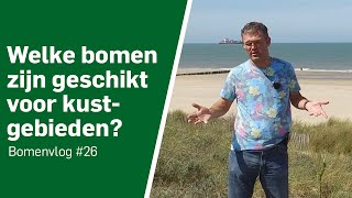 Bomen Voor Kustgebieden Bomenvlog
