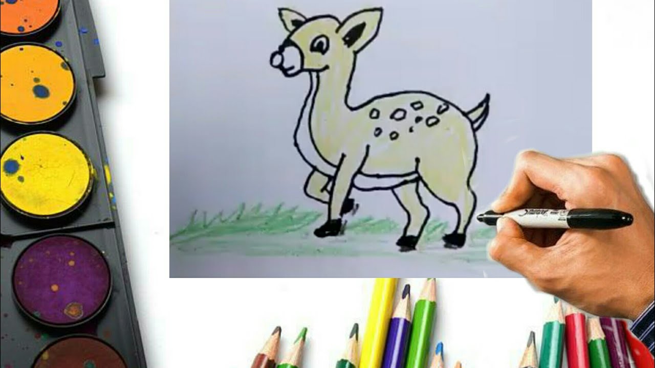 हिरण का चित्र । Learn step by step । Deer drawing easy । A C Drawing । True World Animals