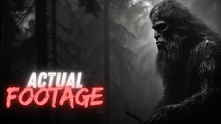 6 Unbelievable Bigfoot Sightings Caught on Camera