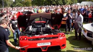 Decatted Ferrari Enzo - Huge Revs
