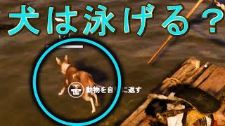 犬は泳げるのか？！戦えるのか！？【アサシンクリードオリジンズ】検証　実況