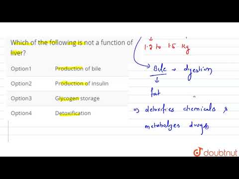 Wideo: Które z poniższych nie jest funkcją wątroby?